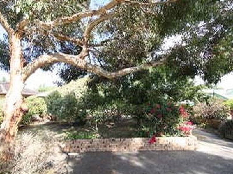 43 Catherine St, Lower Mitcham SA 5062