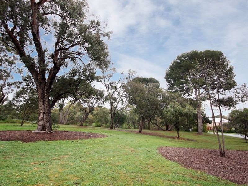 5/29 The Common, Beaumont SA 5066