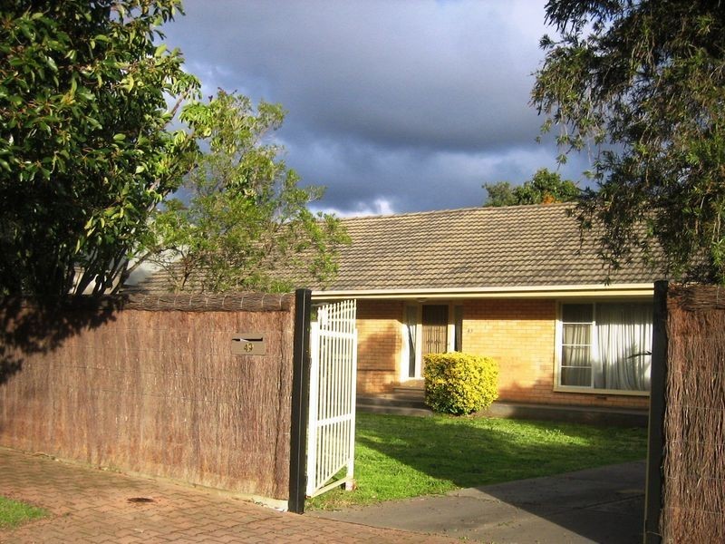 49 Malvern Avenue, Malvern SA 5061