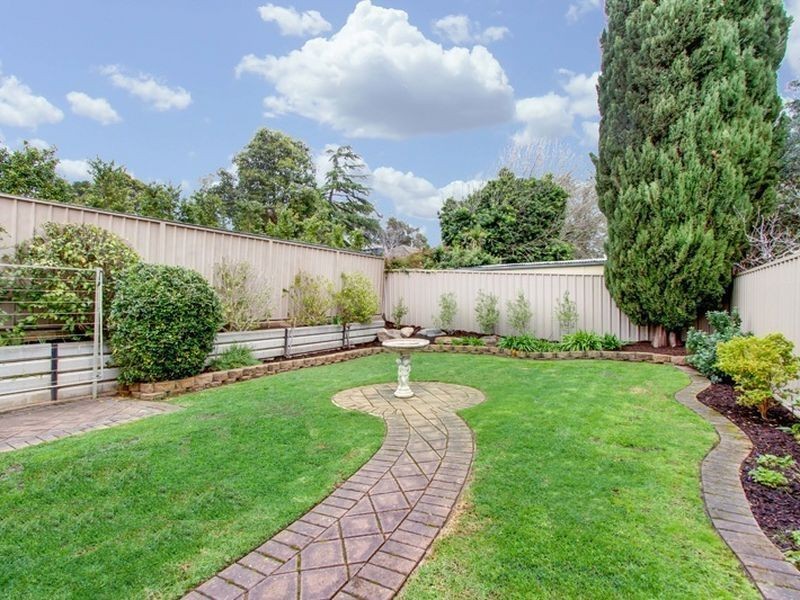 11A Finnis Street, Burnside SA 5066