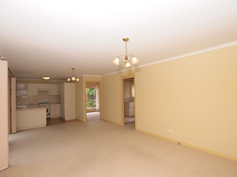 63 Daly Street, South Plympton SA 5038