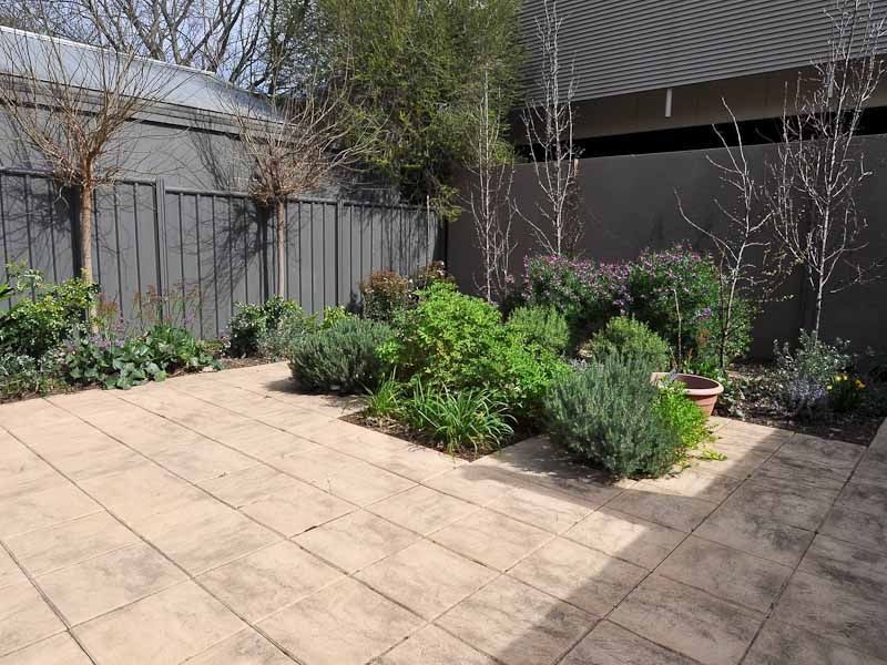 6a Martens Avenue, Fullarton SA 5063