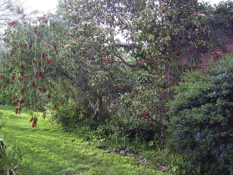 6 Kimba Grove, Pasadena SA 5042