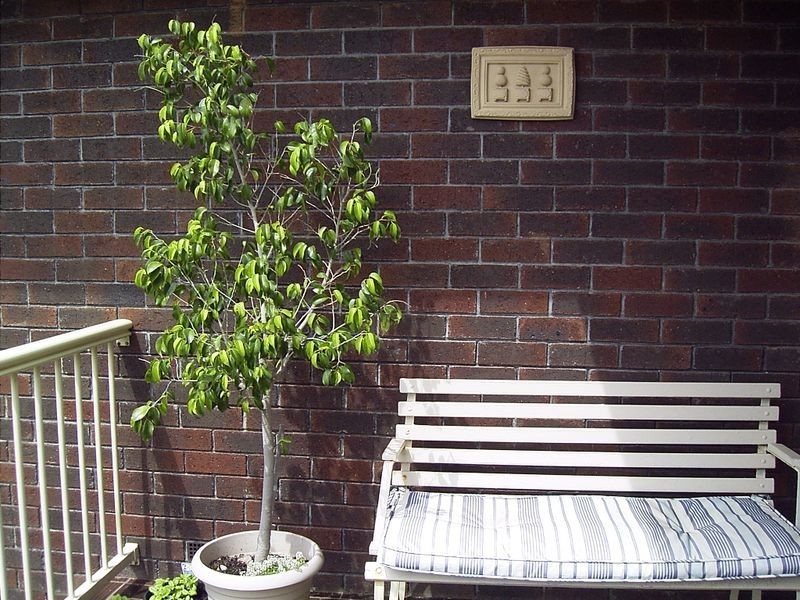 6 Kimba Grove, Pasadena SA 5042