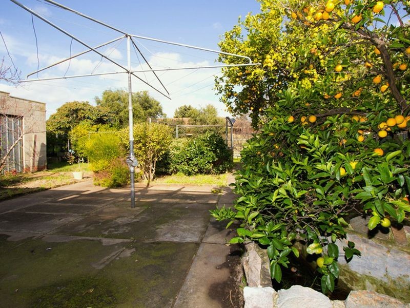 14 Brenton Avenue, South Plympton SA 5038