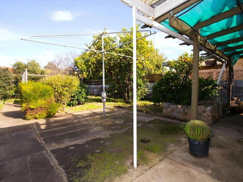 14 Brenton Avenue, South Plympton SA 5038