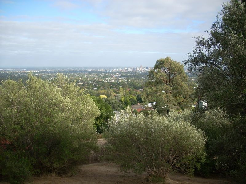 12 Blyth Street, Glen Osmond SA 5064