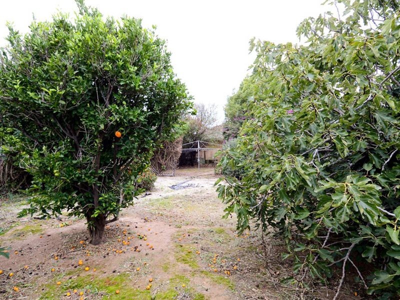 9 Seccafien Avenue, Marion SA 5043