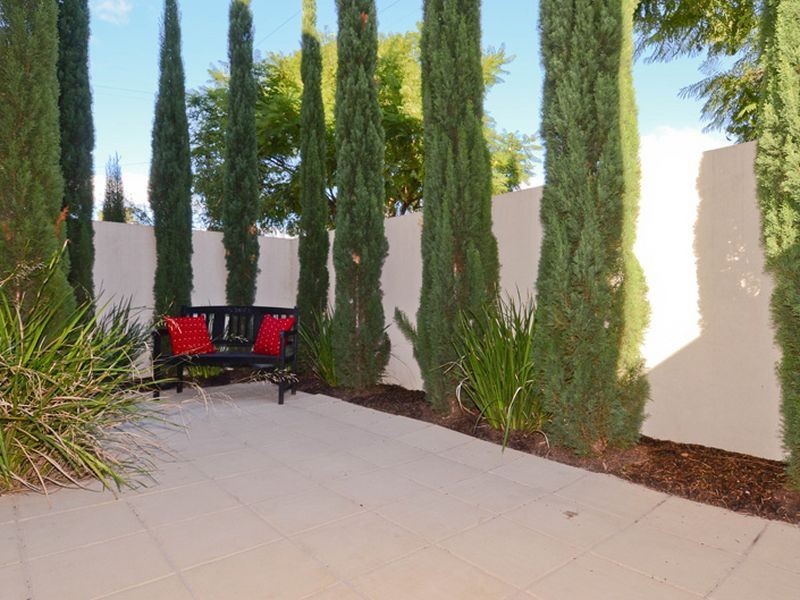 18 Rhyl Avenue, Wayville SA 5034