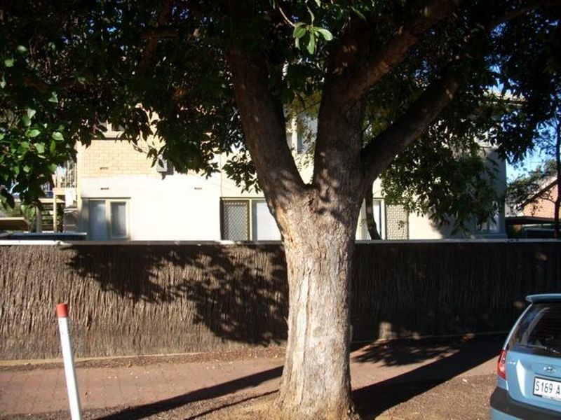 2/45 Avenue Road, Highgate SA 5063