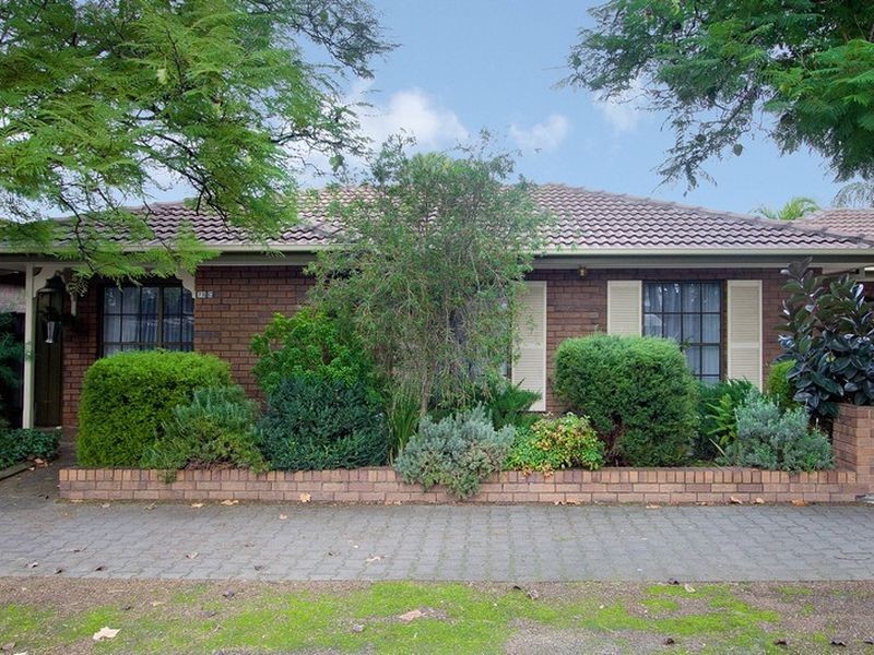 3/75C Marion Street, Unley SA 5061