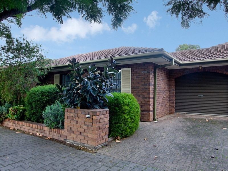 3/75C Marion Street, Unley SA 5061