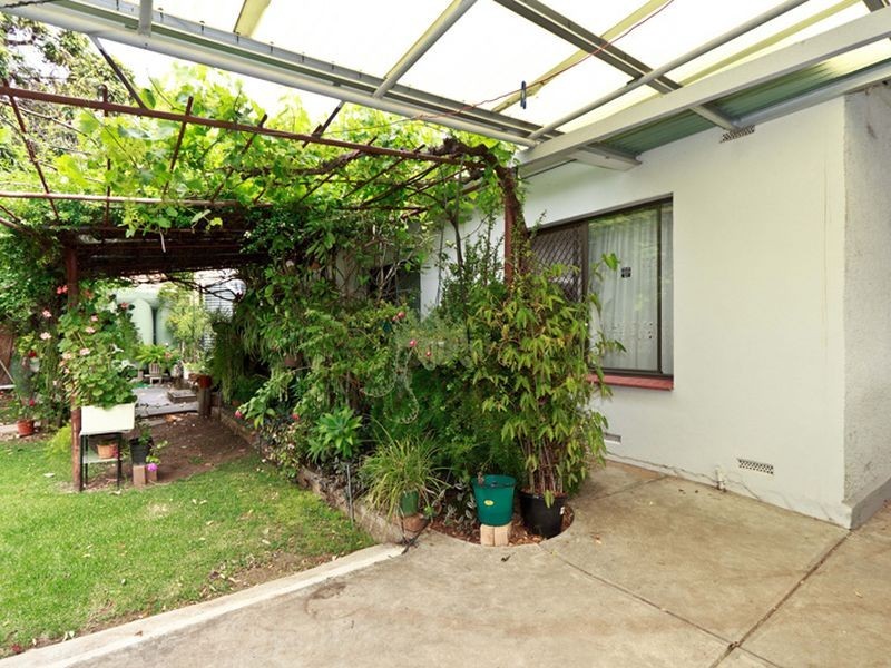 20 Medway Street, Fullarton SA 5063