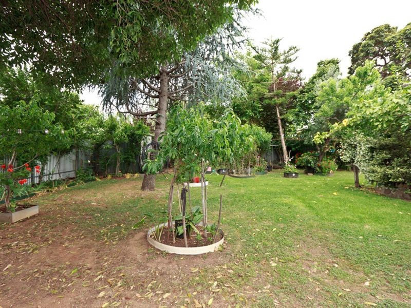 20 Medway Street, Fullarton SA 5063