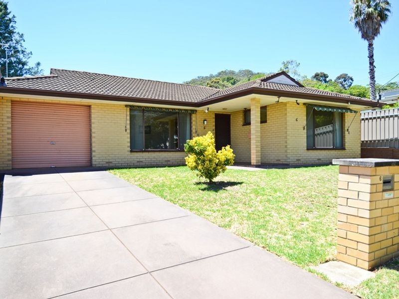 6 Owen Street, Torrens Park SA 5062