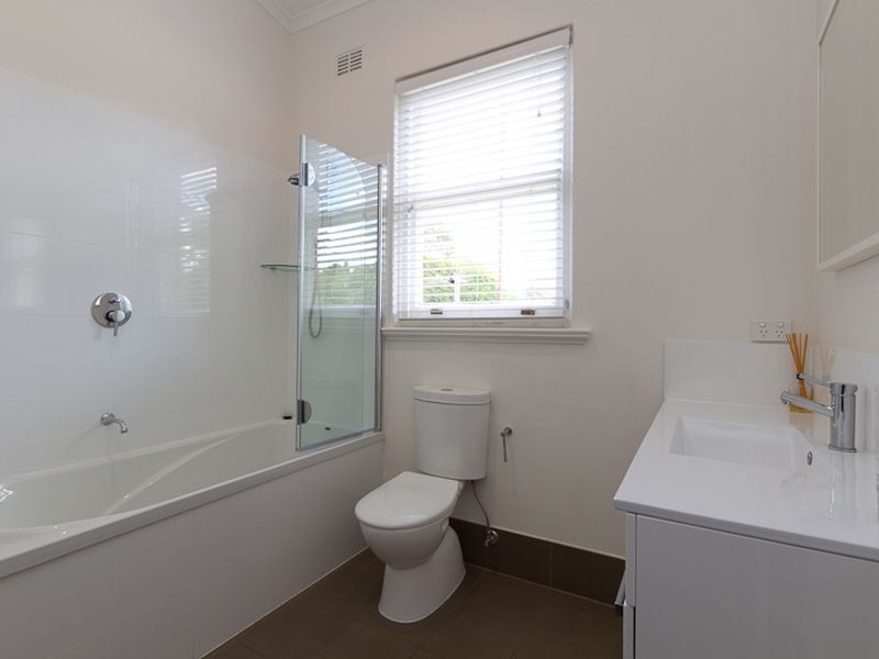 6 Douglas Street, Millswood SA 5034