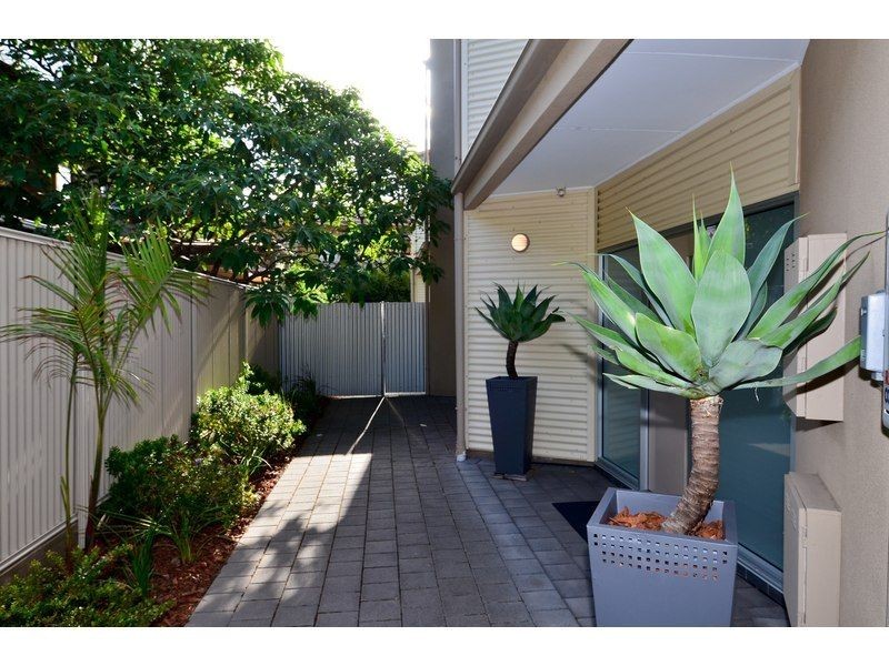 5 Rose Lane, Wayville SA 5034