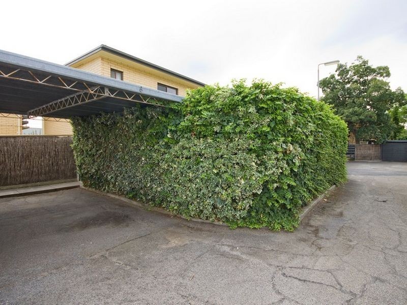 8/22 Salisbury Street, Unley SA 5061