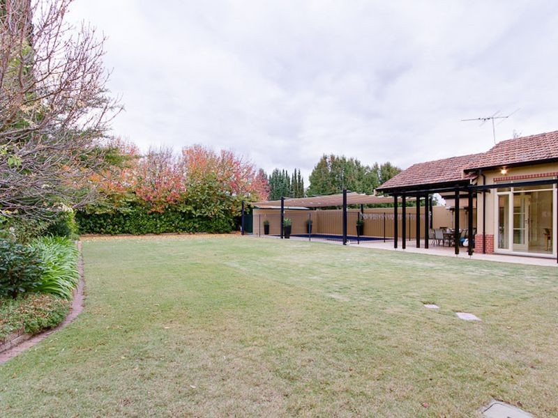 146 Watson Avenue, Toorak Gardens SA 5065
