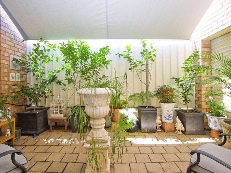 5 Leonard Street, Magill SA 5072