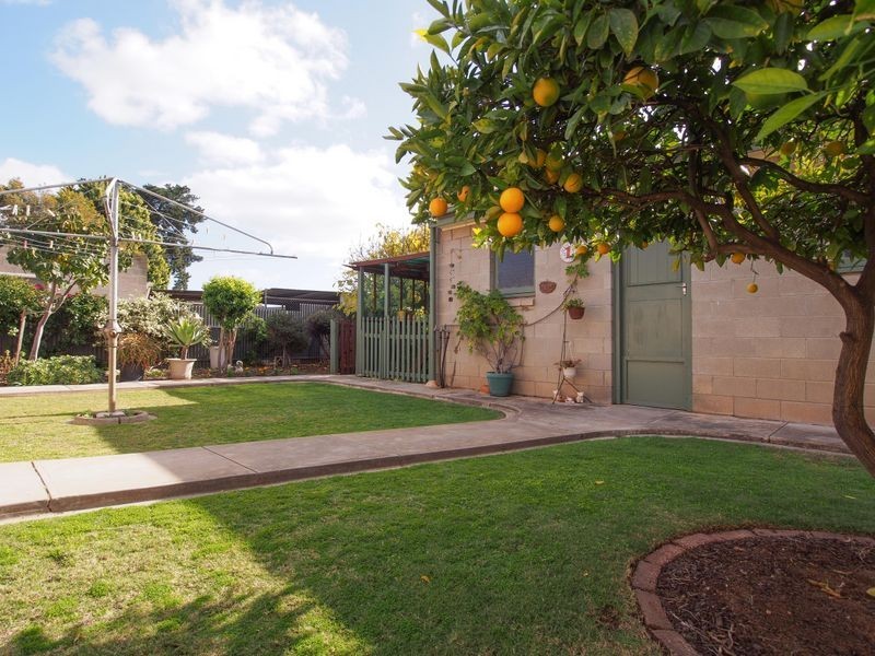 1 Fashoda Ave, Camden Park SA 5038