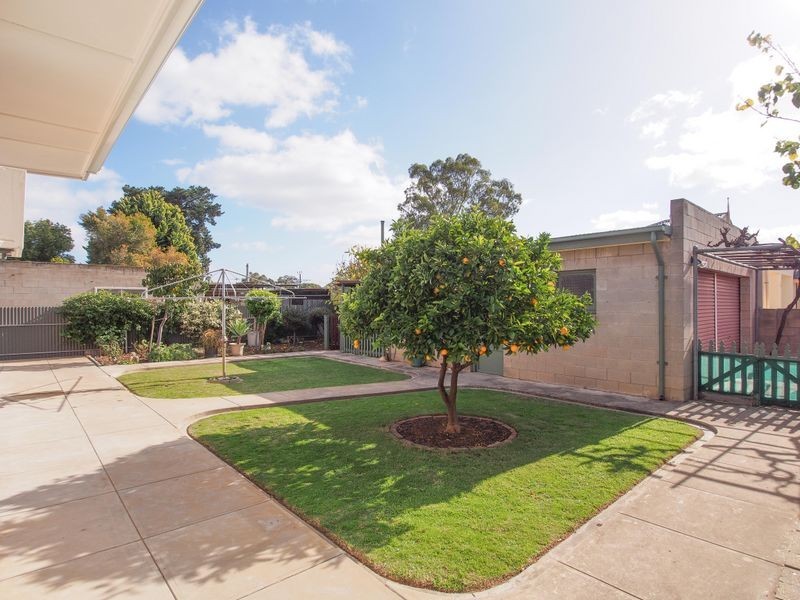 1 Fashoda Ave, Camden Park SA 5038