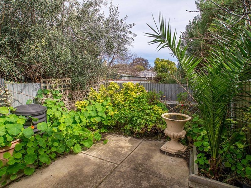 5/6 Nichols Street, Forestville SA 5035