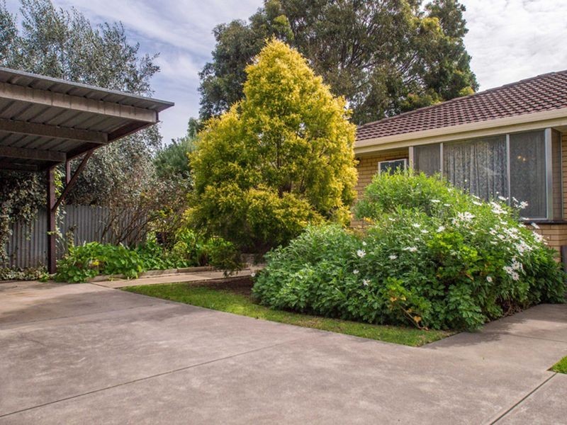 5/6 Nichols Street, Forestville SA 5035