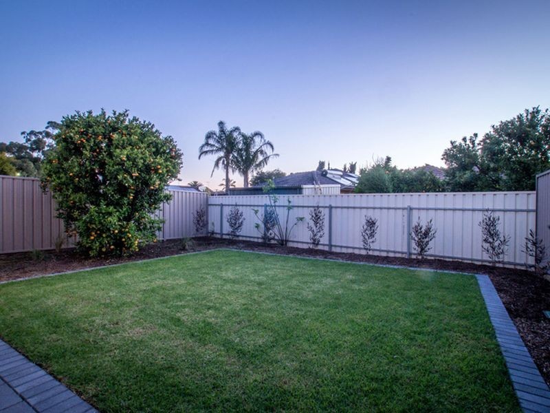 9 Seccafien Avenue, Marion SA 5043