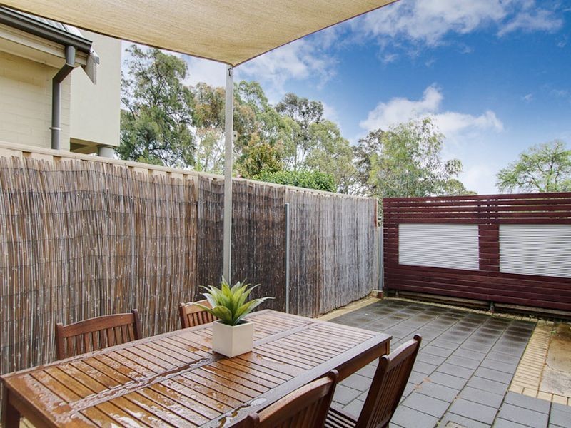 5/48 Maud Street, Unley SA 5061