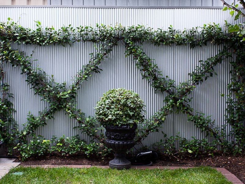 25 Clyde Street, Parkside SA 5063