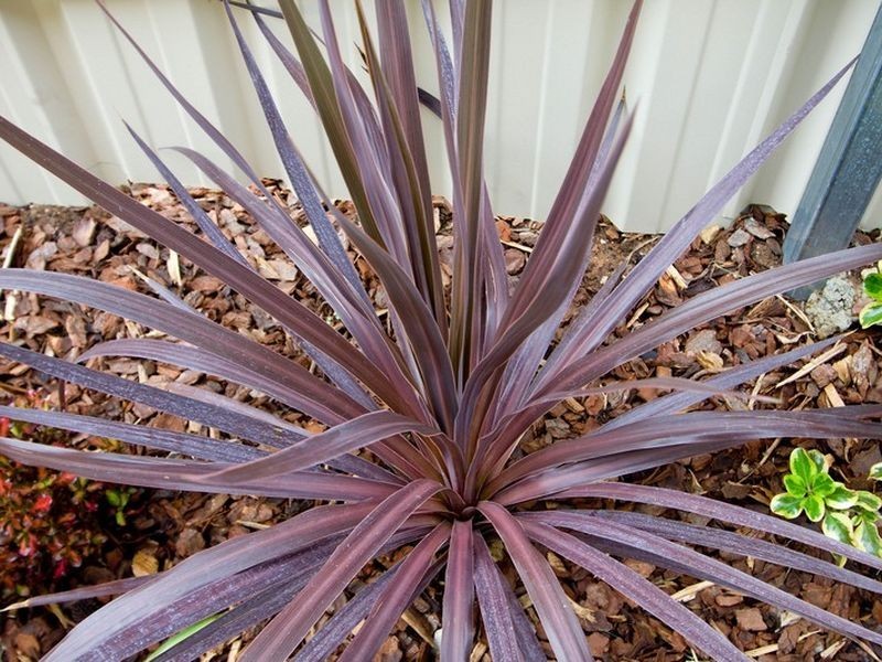 18 Elese Avenue, Campbelltown SA 5074