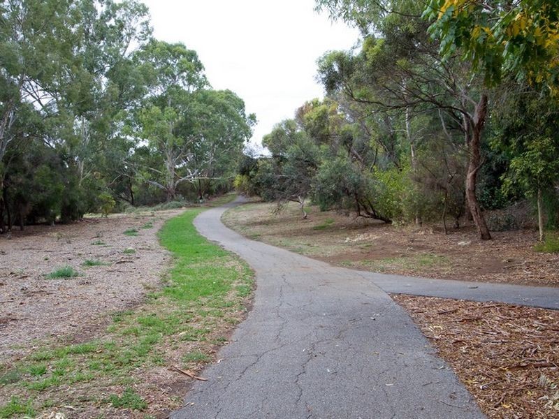 18 Elese Avenue, Campbelltown SA 5074