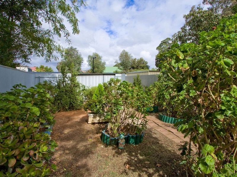 113 Leicester Street, Parkside SA 5063