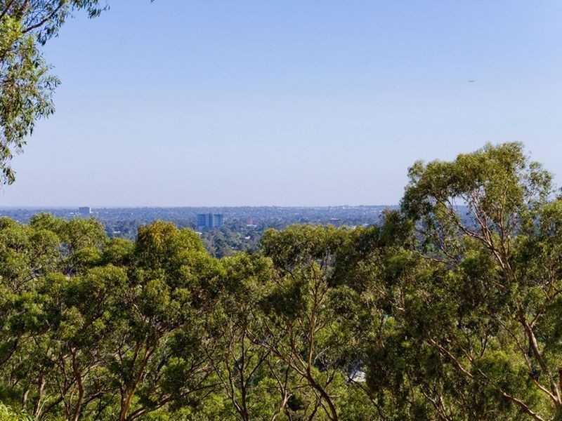 28 Lisburne Avenue, Mitcham SA 5062