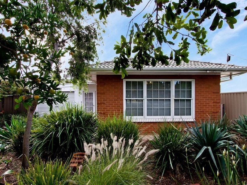 10 St Helen Street, Parkside SA 5063