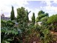 10 St Helen Street, Parkside SA 5063