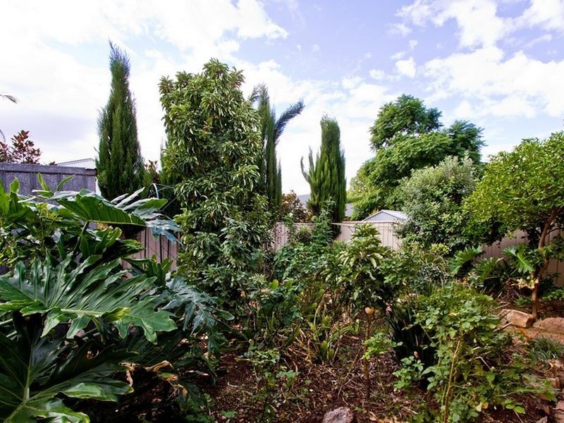 10 St Helen Street, Parkside SA 5063