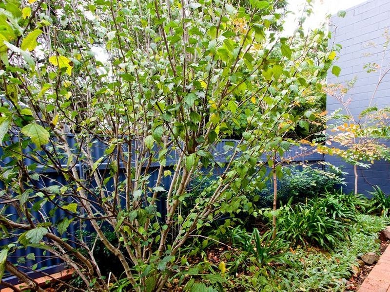 3/1 Colliver Street, Norwood SA 5067