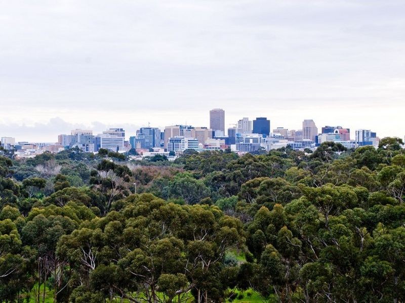 98/220 Greenhill Road, Eastwood SA 5063