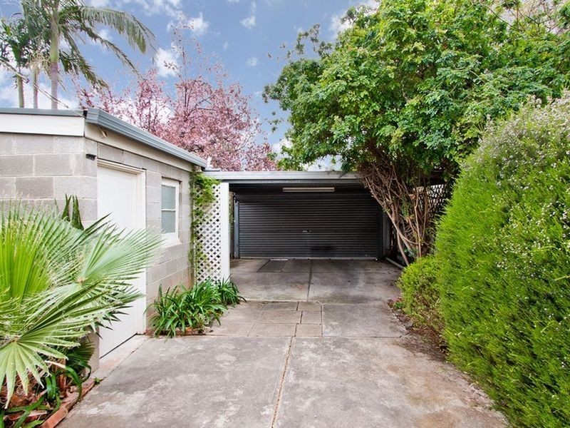 86 Alfred Street, Parkside SA 5063