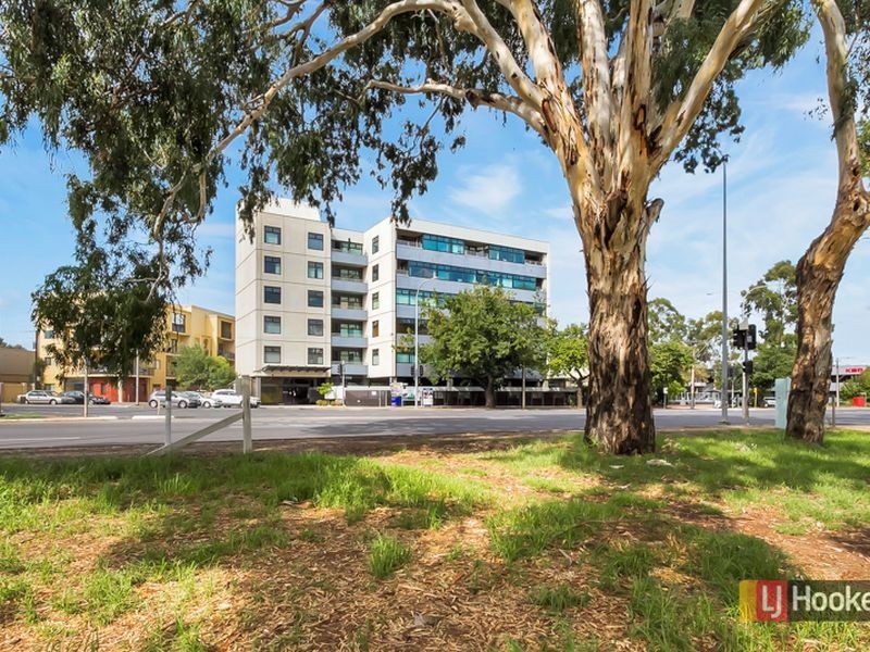 202/191 Greenhill Road, Parkside SA 5063