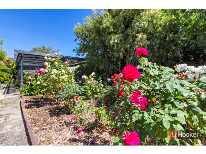 3 Fysh Court, Modbury Heights SA 5092