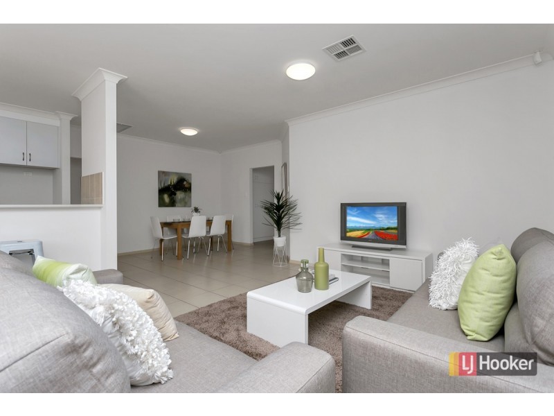 53 Gray Street, Plympton SA 5038