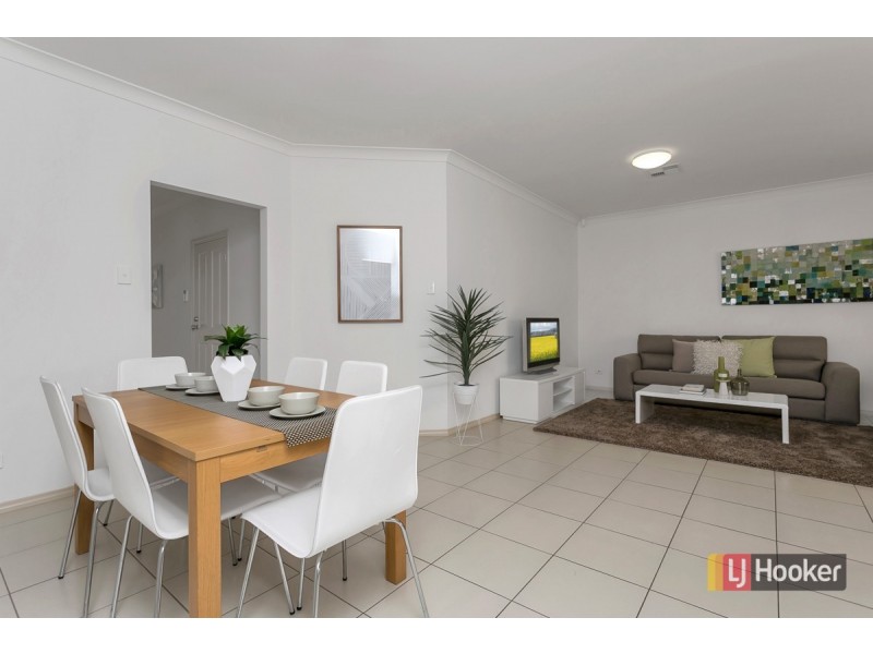 53 Gray Street, Plympton SA 5038