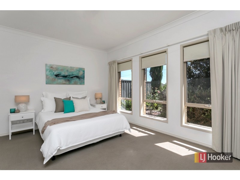 53 Gray Street, Plympton SA 5038