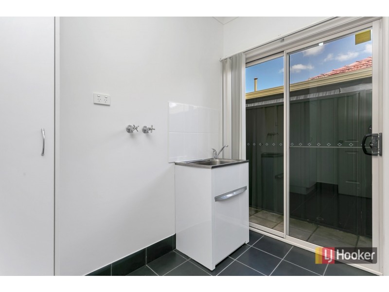 53 Gray Street, Plympton SA 5038