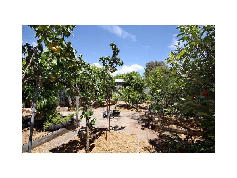 6 Winifred Avenue, Black Forest SA 5035