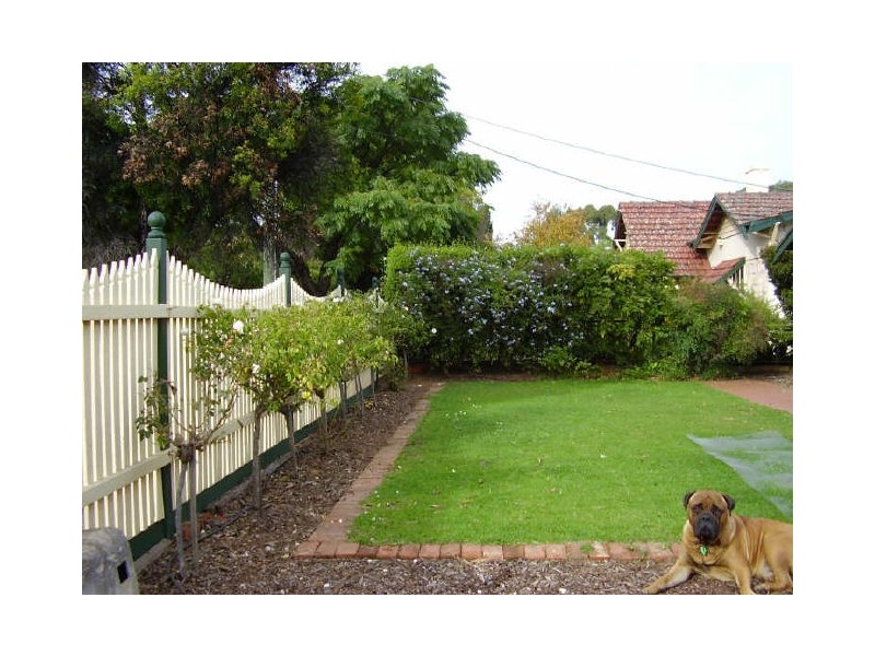 40 Denning Street, Hawthorn SA 5062