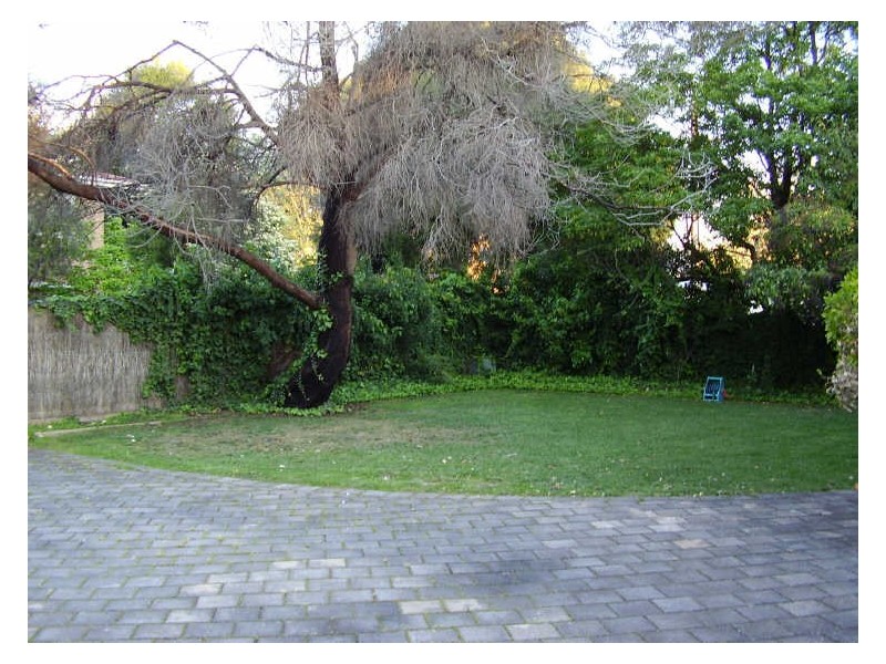 8 View Street, Unley Park SA 5061